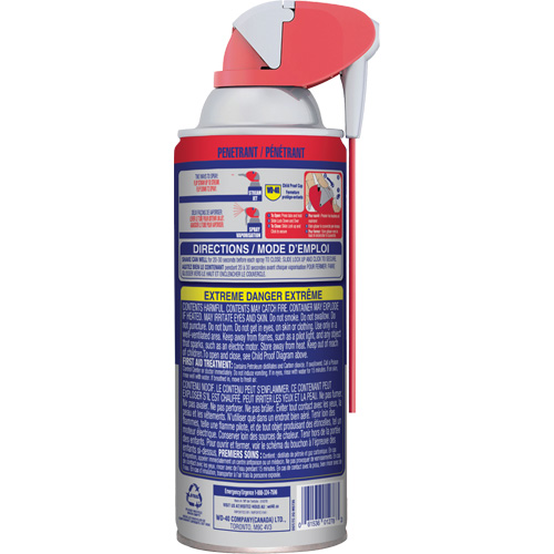 Rust Release Penetrant, Aerosol Can, 311 g Fastek