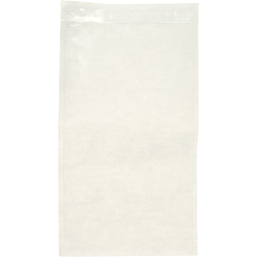 Non-Printed Packing List Envelope, 10" L x 5-1/2" W, Endloading Style Fastek
