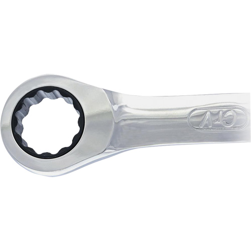 Non-Reversing Ratcheting Combination Wrench Fastek