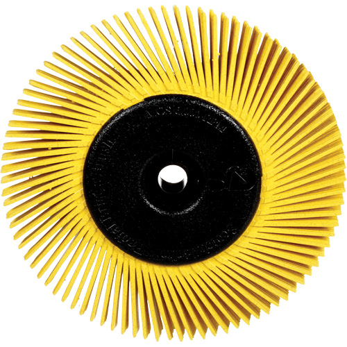 Brosses radiales bristle pour meuleuses d'&eacute;tabli, Grain 80X, 6" dia. Fastek