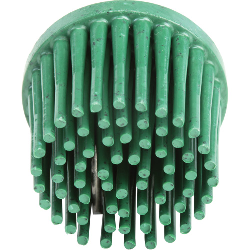 Disques bristle Roloc, Grain 120, 1" dia. Fastek