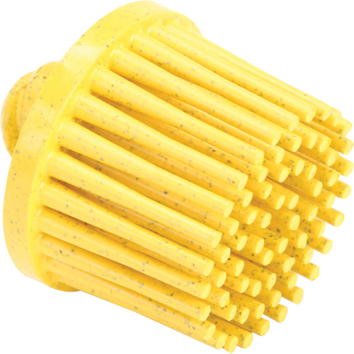 Disques bristle Roloc, Grain 80, 1" dia. Fastek