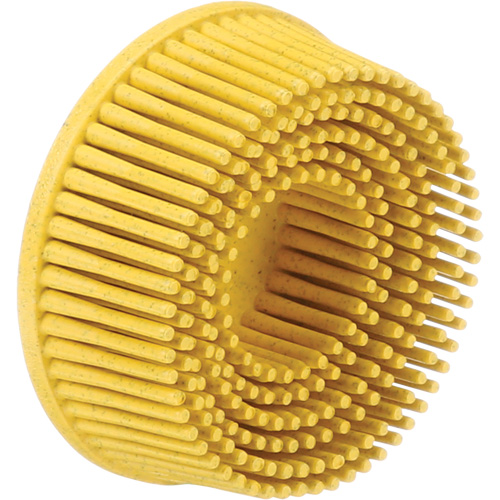 Scotch-Brite Roloc Bristle Discs, 80 Grit, 2" Dia. Fastek