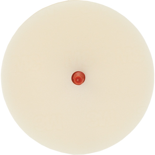 Disque pour enlever les bandes et les adh&eacute;sifs pour moulures Scotch-Brite, 4" dia. Fastek