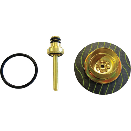 Filter/Regulator - Relieving Diaphragm & Valve Assembly Fastek