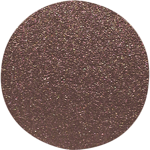 Wood Sanding Disc, 12" Dia., 60 Grit Fastek