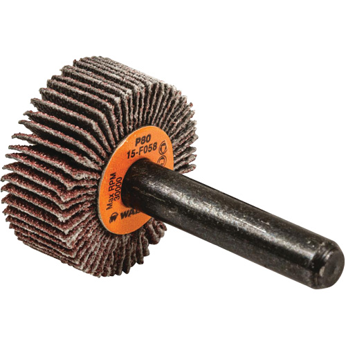 Disques &agrave; lamelles - Meules &agrave; lamelles Coolcut, Oxyde d'aluminium, Grain 80, 1" x 3/8" x 1/4" Fastek