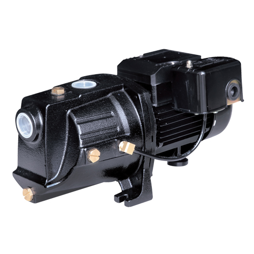 Dual Voltage Cast Iron Shallow Well Jet Pump, 230 V, 710 GPH, 1/2 HP Fastek