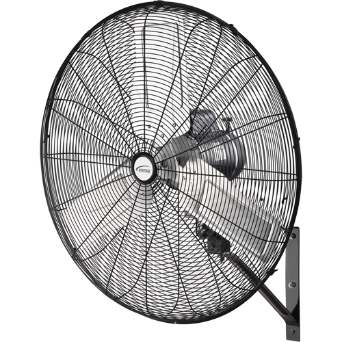Oscillating Wall Fan, Industrial, 30" Dia., 2 Speeds Fastek