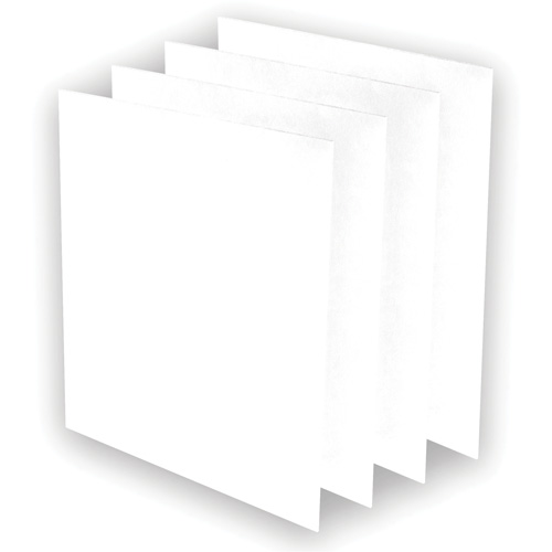 Pr&eacute;-filtres AeraMax Pro AM3 ou AM4, 13,75" la x 0,13" p x 14,38" h Fastek