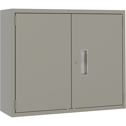 Wall Mounted Cabinet, Steel, 2 Shelves, 30" H x 36" W x 12" D, Grey Fastek