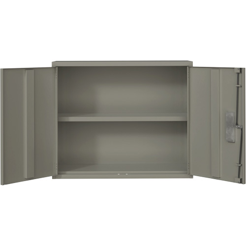 Wall Mounted Cabinet, Steel, 2 Shelves, 30" H x 36" W x 12" D, Grey Fastek