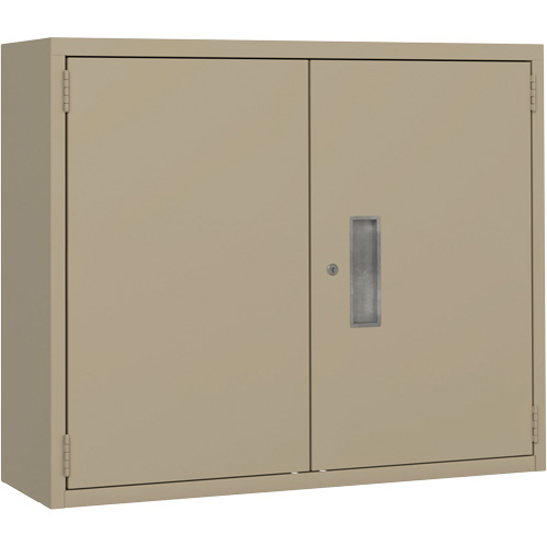 Wall Mounted Cabinet, Steel, 2 Shelves, 30" H x 36" W x 12" D, Beige Fastek