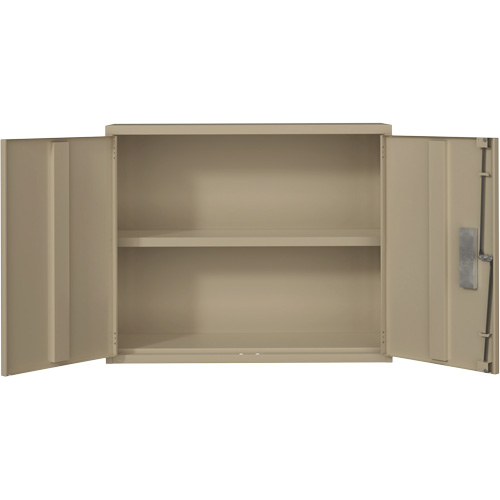 Wall Mounted Cabinet, Steel, 2 Shelves, 30" H x 36" W x 12" D, Beige Fastek