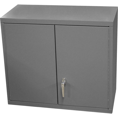 Armoire murale, 27" h x 13-11/16" la x 35-7/8" p, 2 tablettes, Acier, Gris Fastek