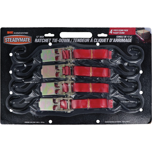 Tendeurs d'arrimage &agrave; cliquet, Crochet en S, 1" , 12' , Charge d'utilisation max. 500 lb (230 kg) Fastek