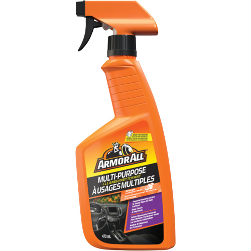 Multi-Purpose Auto Cleaner, 16 oz./473 ml, Trigger Bottle Fastek