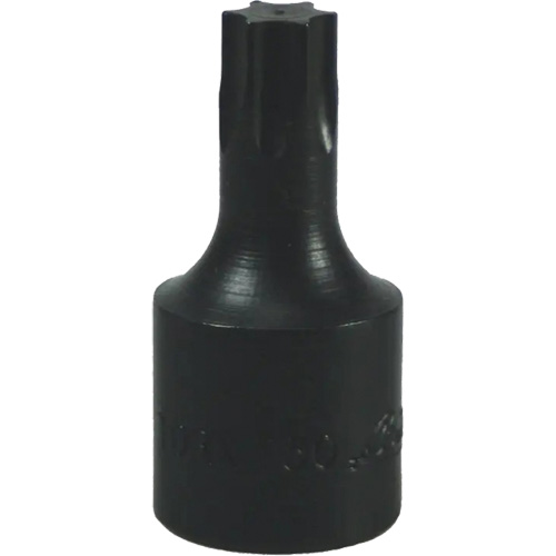 Embout Torx&reg; T-50 Fastek