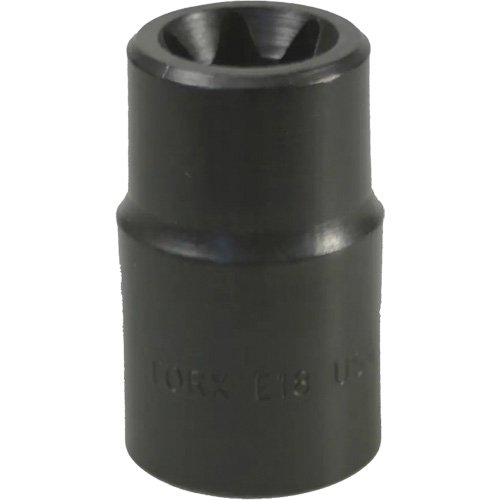 Douille Torx&reg; E-18 Fastek
