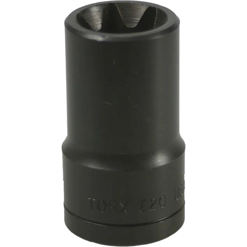 Douille Torx&reg; E-20 Fastek