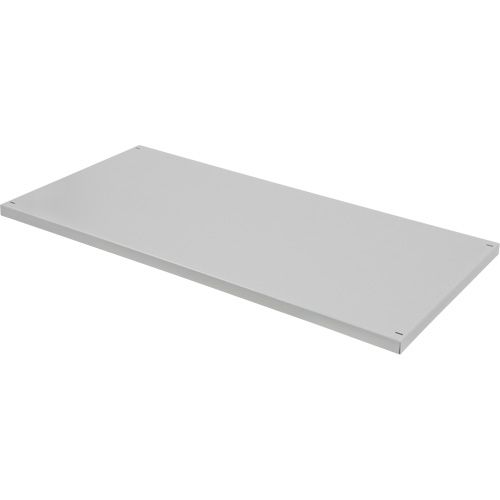 Tablette de rechange pour armoire d&eacute;montable, 30" x 15", Capacit&eacute; de 100 lb, Acier, Gris Fastek