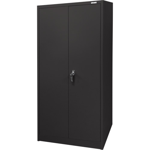 Storage Cabinet, Steel, 4 Shelves, 66" H x 30" W x 15" D, Black Fastek