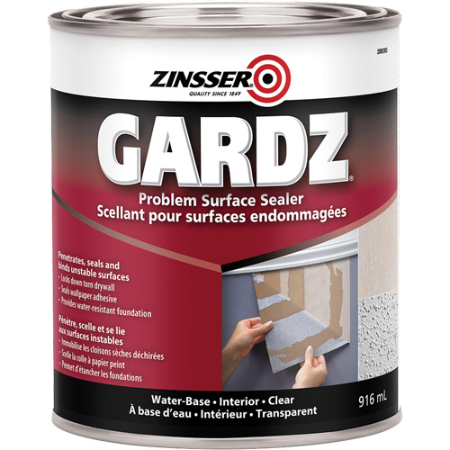 Scellant de surface &agrave; probl&egrave;mes Gardz, 3,61 L, Canette, Transparent Fastek