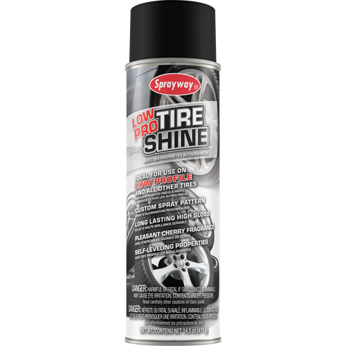 Low Pro Tire Shine Fastek