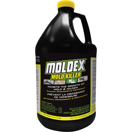 Moldex&reg; Mold Killer, 3.78 L, Jug Fastek