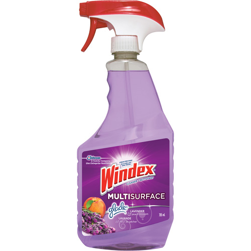 Windex&reg; Multi-Surface Cleaner, 765 ml, Trigger Bottle Fastek