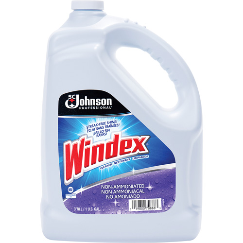 Nettoyant multi-surface non ammoniac&eacute; de Windex, 3,8 L, Cruche Fastek