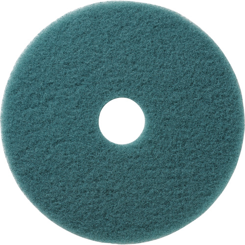 Tampons &agrave; polir pour planchers Aqua, 19", Brunissage, Aqua Fastek
