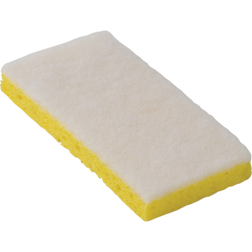 745W Light-Duty Scouring Sponges, 6-1/4" L x 3-1/5" W Fastek