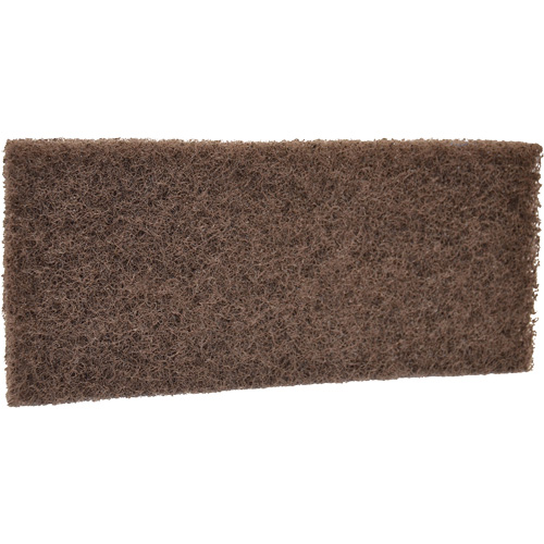 Coarse Scrub Pad, 10" L x 4-1/2" W Fastek