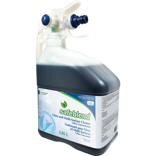 Nettoyant concentr&eacute; multisurfaces et pour le verre, 2,85 l, Bouteille Fastek