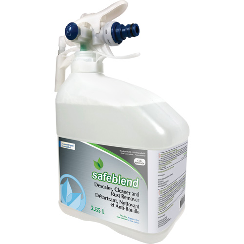 Concentrated Bathroom Cleaner, 4 L, Jug Fastek