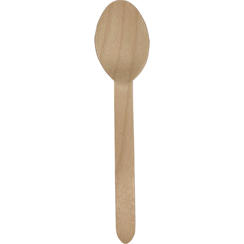Bulk Wrapped Wooden Spoons Fastek