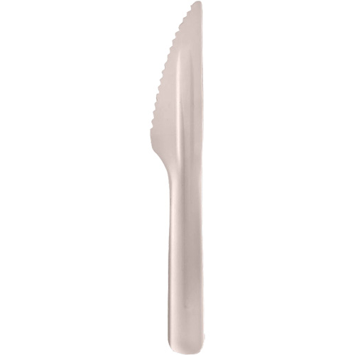 Bagasse Compostable Knives Fastek