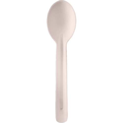 Bagasse Compostable Spoons Fastek