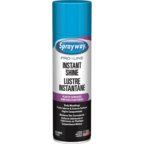 Pro Line Instant Shine for Plastic Surfaces, 11 oz., Aerosol Can Fastek