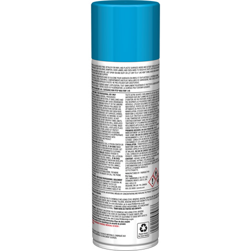 Pro Line Instant Shine for Plastic Surfaces, 11 oz., Aerosol Can Fastek