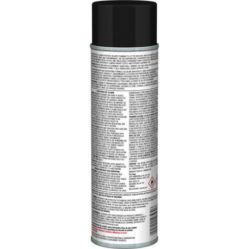 Nettoyant p&eacute;n&eacute;trant pour bobines Pro Line &agrave; action moussante diff&eacute;r&eacute;e, 19 oz., Canette a&eacute;rosol Fastek
