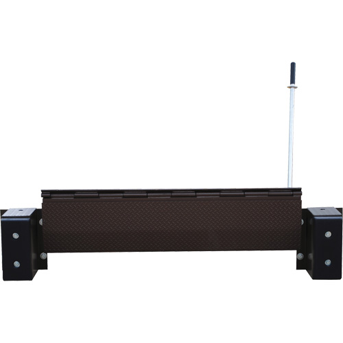 Mechanical Edge-O-Dock Leveler, 99" W, 72" Deck Width, 29" Span Fastek