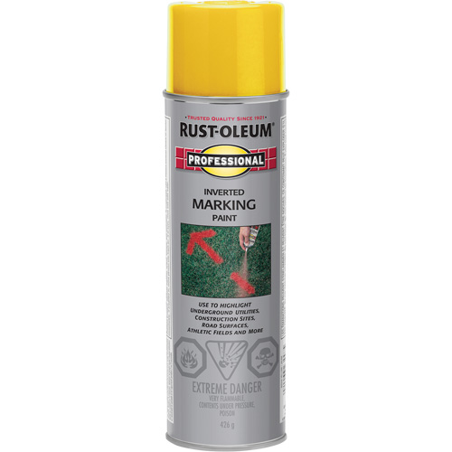 Peinture de marquage renvers&eacute; en a&eacute;rosol, 426 g, Canette a&eacute;rosol Fastek