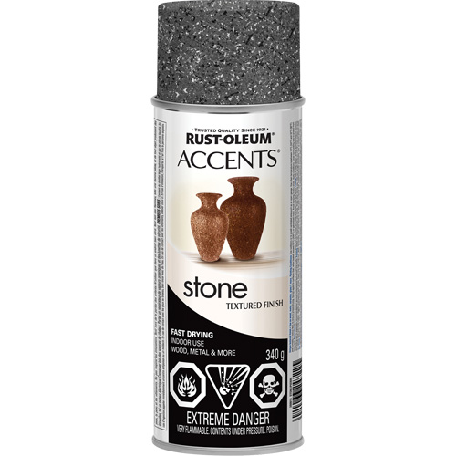 Accents&reg; Stone Creations Spray Paint, Aerosol Can, Grey Stone Fastek
