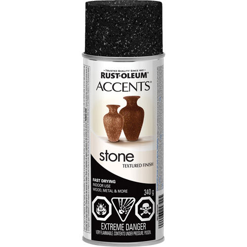 Accents&reg; Stone Creations Spray Paint, Aerosol Can, Black Granite Fastek