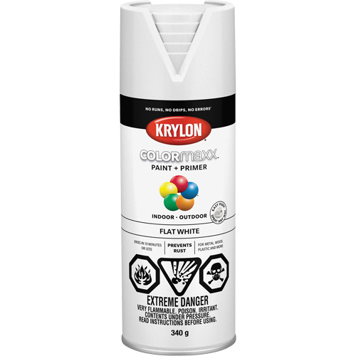 Appr&ecirc;t + peinture COLORmaxx, Blanc, Tr&egrave;s mat, 12 oz, Canette a&eacute;rosol Fastek