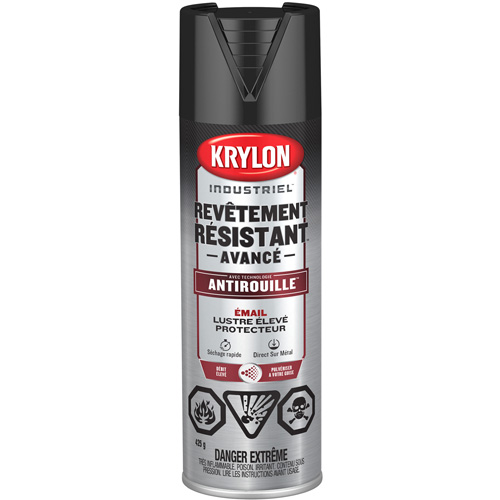 Peinture Tough Coat avec technologie Rust Barrier, Noir, Tr&egrave;s brillant, 425 g, Canette a&eacute;rosol Fastek