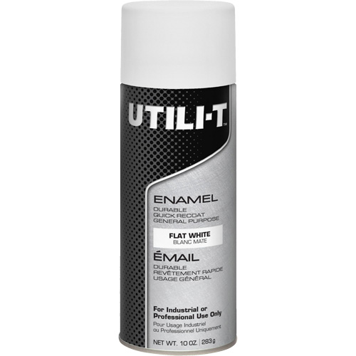 Peinture-&eacute;mail en a&eacute;rosol polyvalent UTILI-T, Blanc, Plat, 10 oz/283 g, Canette a&eacute;rosol Fastek