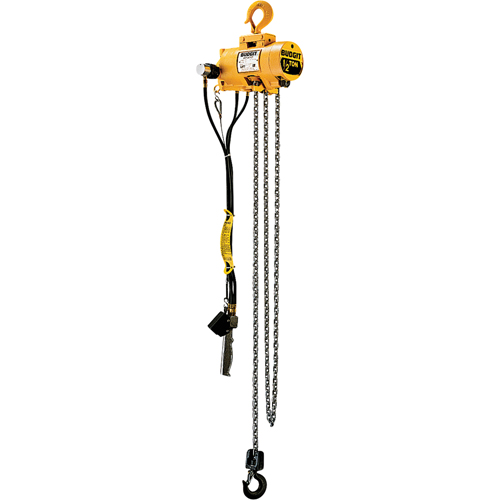 Budgit&reg; Air Chain Hoists Fastek